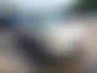 Vehicle Image- 2009 Hyundai Elantra