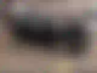 Vehicle Image- 2007 Hyundai Elantra