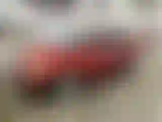 Vehicle Image- 2008 Hyundai Elantra