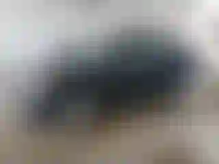 Vehicle Image- 2008 Hyundai Elantra