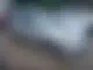 Vehicle Image- 2008 Hyundai Elantra