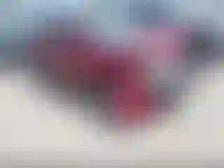 Vehicle Image- 2008 Hyundai Elantra