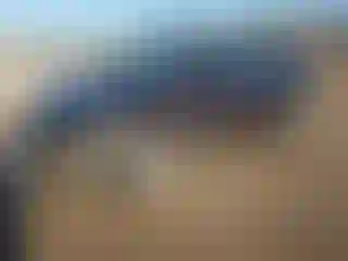 Vehicle Image- 2009 Hyundai Elantra