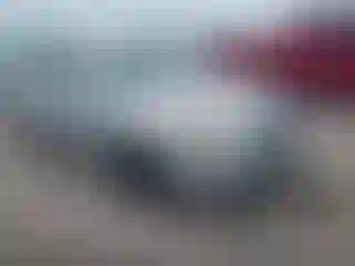 Vehicle Image- 2008 Hyundai Elantra