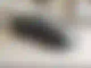 Vehicle Image- 2008 Hyundai Elantra