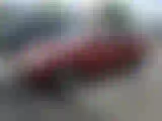 Vehicle Image- 2009 Hyundai Elantra
