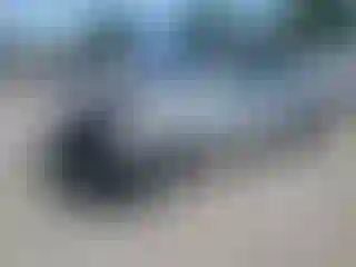 Vehicle Image- 2009 Hyundai Elantra