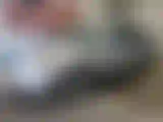 Vehicle Image- 2009 Hyundai Elantra