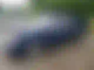 Vehicle Image- 2008 Hyundai Elantra