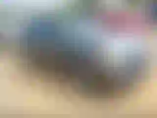 Vehicle Image- 2008 Hyundai Elantra