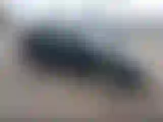 Vehicle Image- 2008 Hyundai Elantra