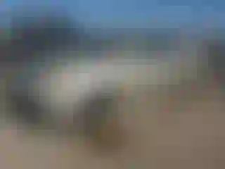 Vehicle Image- 2008 Hyundai Elantra