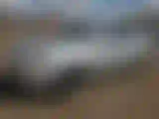 Vehicle Image- 2008 Hyundai Elantra
