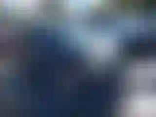 Vehicle Image- 2010 Hyundai Elantra