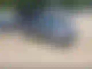 Vehicle Image- 2010 Hyundai Elantra