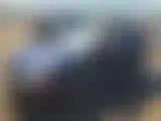 Vehicle Image- 2010 Hyundai Elantra