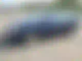 Vehicle Image- 2010 Hyundai Elantra