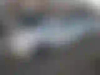 Vehicle Image- 2010 Hyundai Elantra