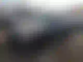 Vehicle Image- 2010 Hyundai Elantra