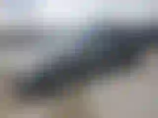 Vehicle Image- 2010 Hyundai Elantra