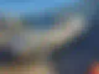 Vehicle Image- 2010 Hyundai Elantra