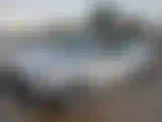 Vehicle Image- 2010 Hyundai Elantra