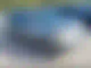 Vehicle Image- 2010 Hyundai Elantra