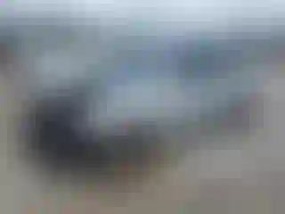Vehicle Image- 2010 Hyundai Elantra
