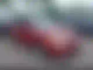 Vehicle Image- 2010 Hyundai Elantra