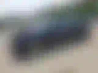 Vehicle Image- 2010 Hyundai Elantra