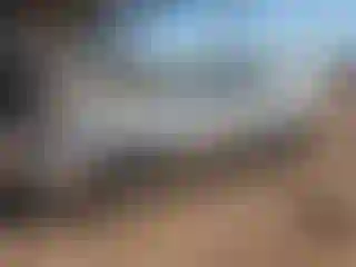 Vehicle Image- 2010 Hyundai Elantra