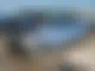 Vehicle Image- 2014 Hyundai Sonata