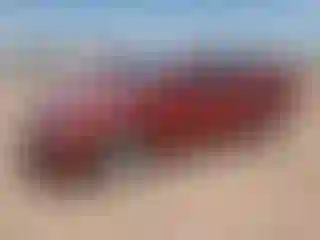 Vehicle Image- 2011 Hyundai Sonata