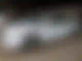 Vehicle Image- 2015 Hyundai Sonata