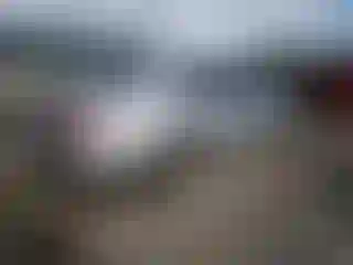 IMPORTOWO.pl