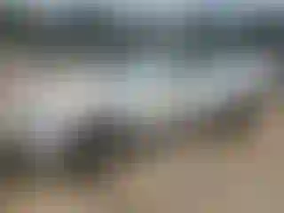 Vehicle Image- 2008 Hyundai Azera