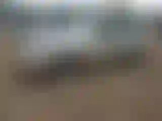 Vehicle Image- 2008 Hyundai Azera