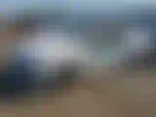 Vehicle Image- 2024 Hyundai Sonata