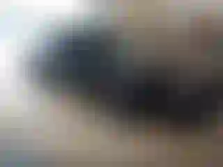 Vehicle Image- 2023 Hyundai Sonata