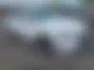 Vehicle Image- 2023 Hyundai Sonata