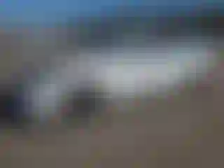 Vehicle Image- 2022 Hyundai Sonata