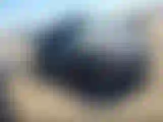 Vehicle Image- 2024 Hyundai Sonata