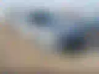 Vehicle Image- 2021 Hyundai Elantra