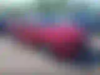 Vehicle Image- 2023 Hyundai Elantra