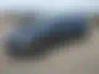 Vehicle Image- 2021 Hyundai Elantra