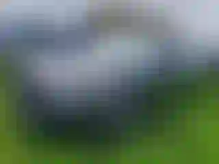 Vehicle Image- 2022 Hyundai Elantra