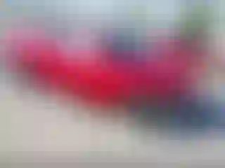 Vehicle Image- 2023 Hyundai Elantra