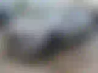 Vehicle Image- 2023 Hyundai Elantra