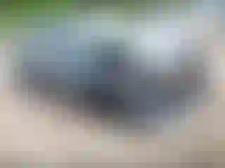 Vehicle Image- 2023 Hyundai Elantra