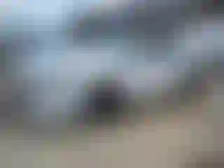 Vehicle Image- 2022 Hyundai Elantra